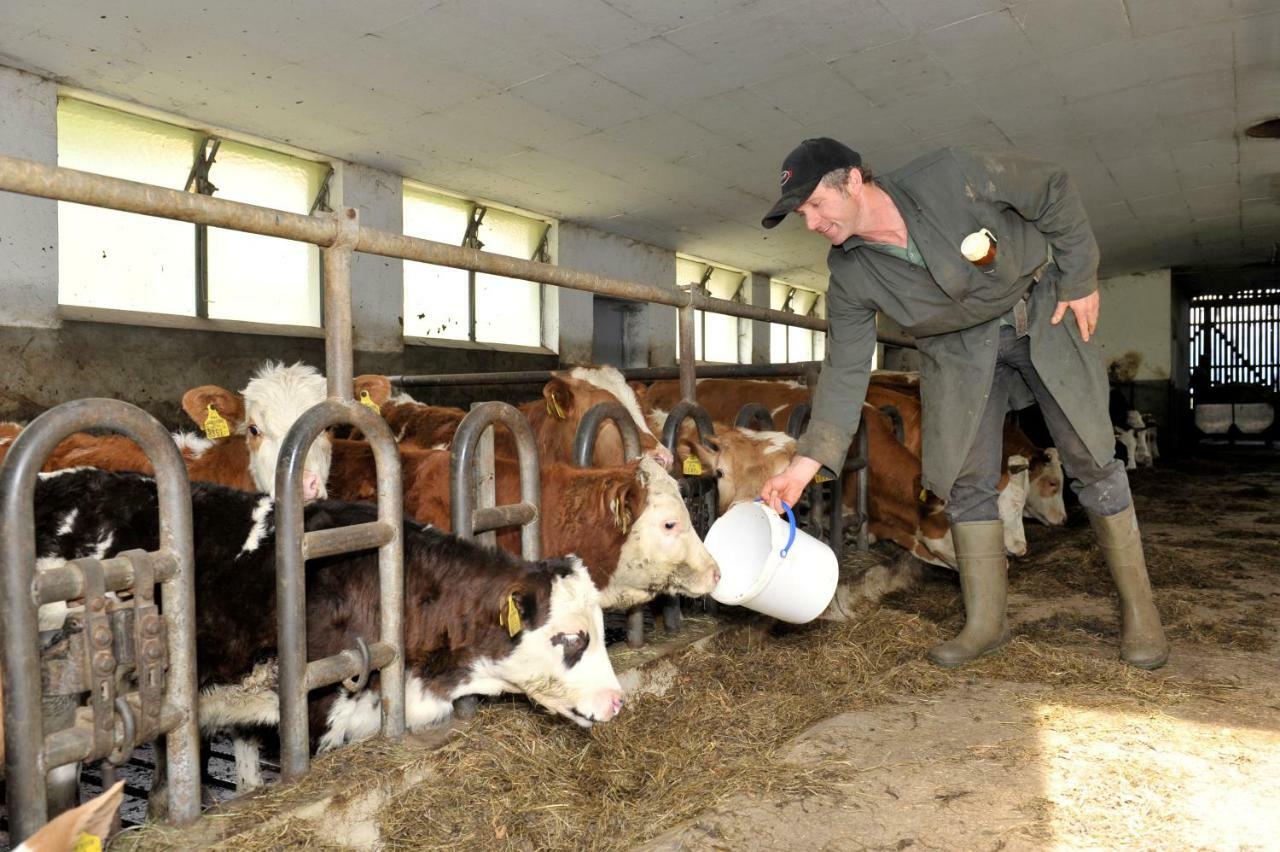 Farm stay Timmelbauerhof